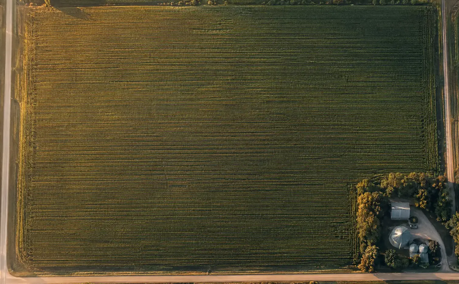 A large crop field seen from directly above at sunrise, with a farmstead in one corner