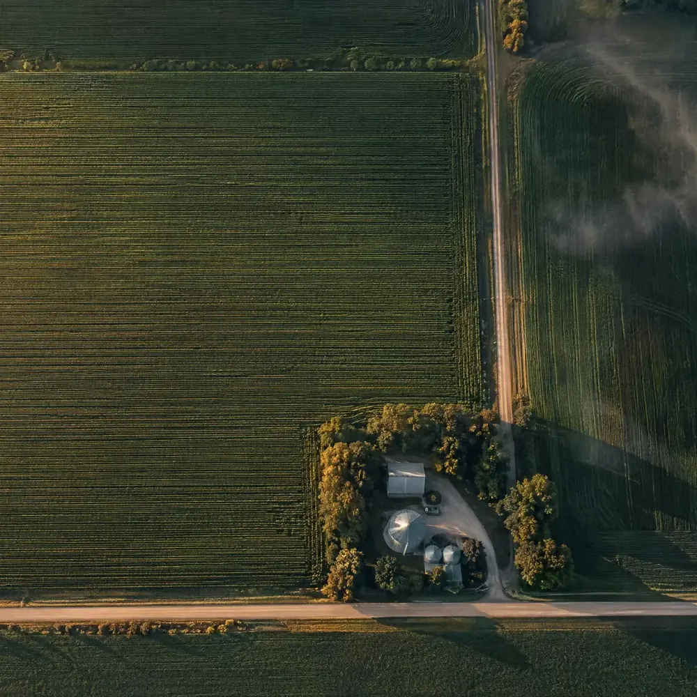 A farmstead at the corner of a planted field, seen from the air at sunrise